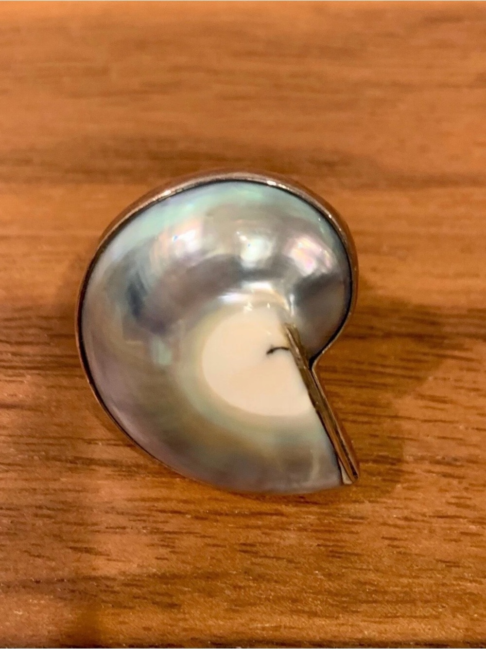 Silver 925 ring Nautilus Shell Accent - Pearly White and Silver Finish